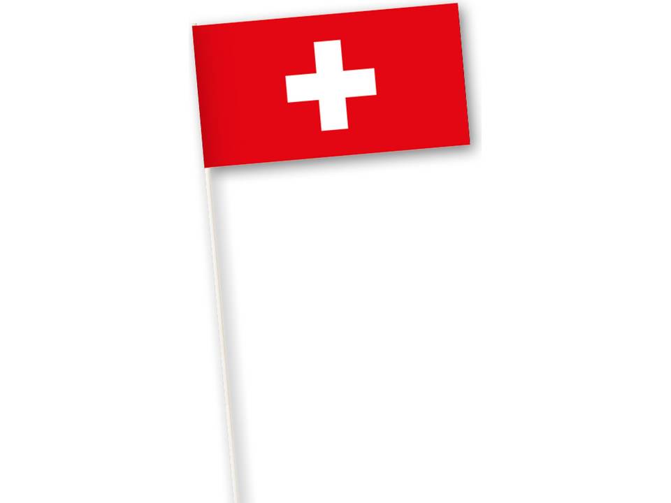 International Paper hand flags 21