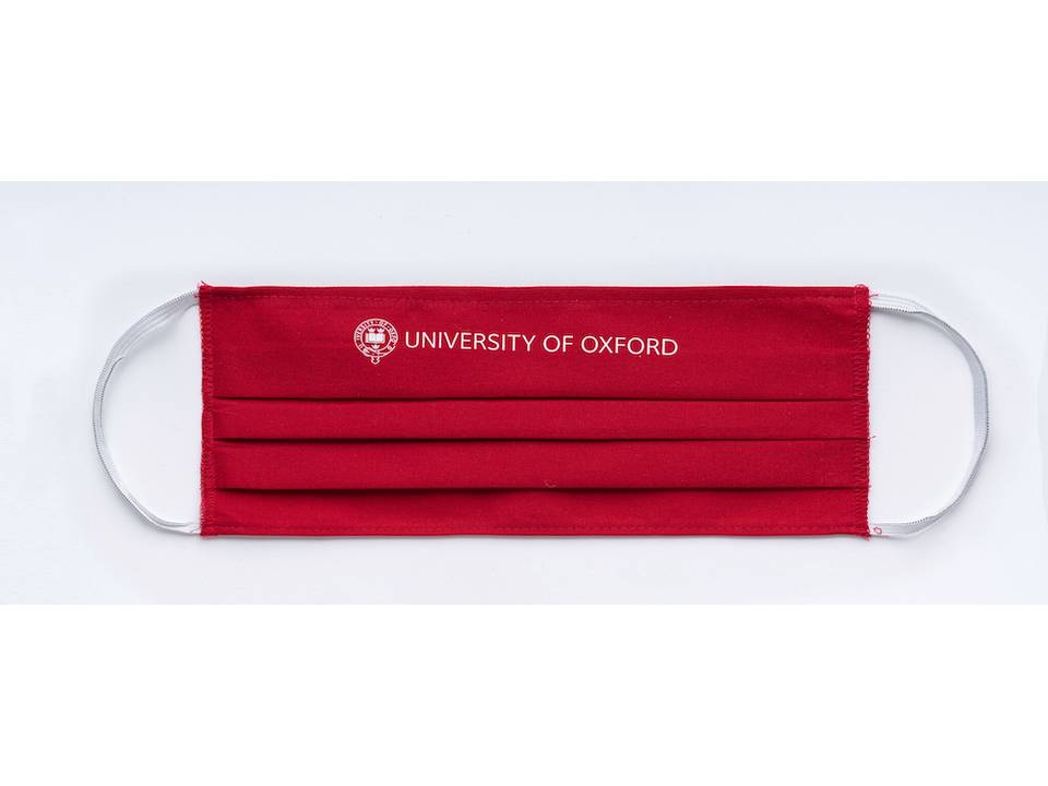 Face protection mask Promo 19