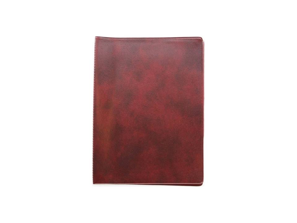 Drivers License Case