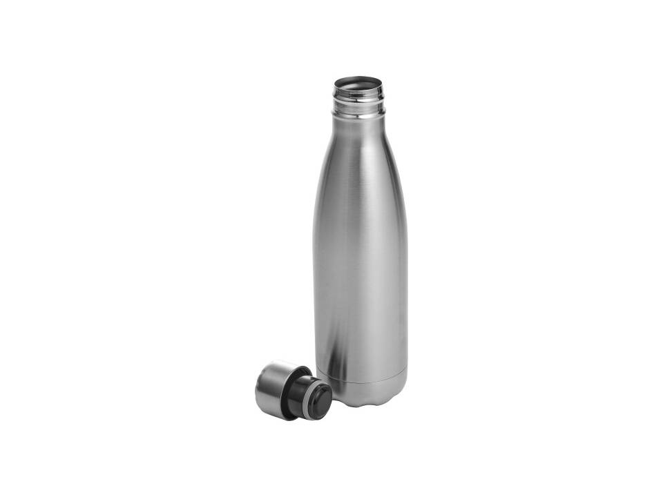 Roestvrijstalen fles 650 ml