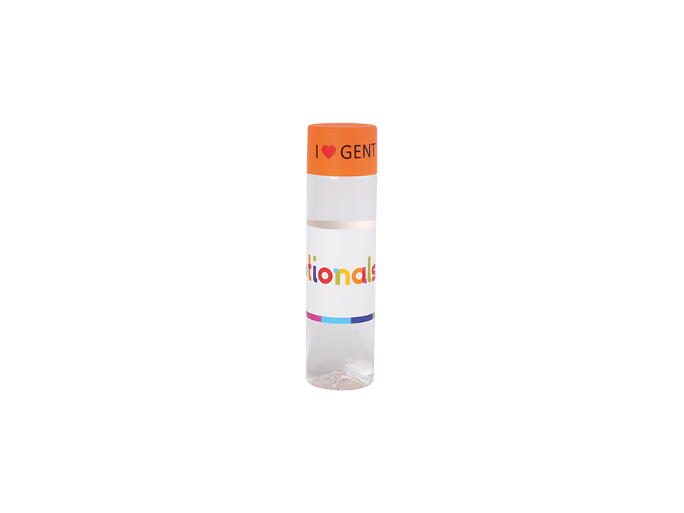 Round water bottle Chap`leau 500 ml 18