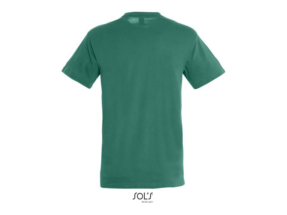 Unisex T-shirt +40 colours 23