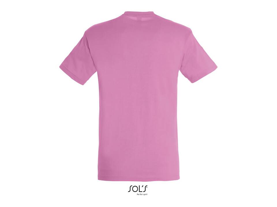 Unisex T-shirt +40 colours 47
