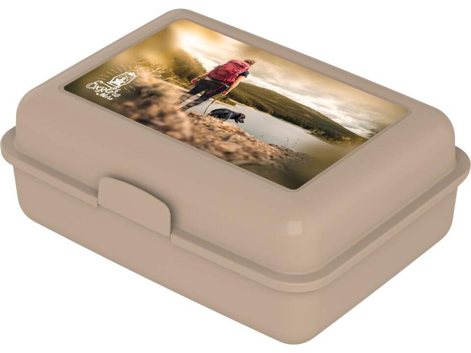 Lunchbox Schoolbox 4