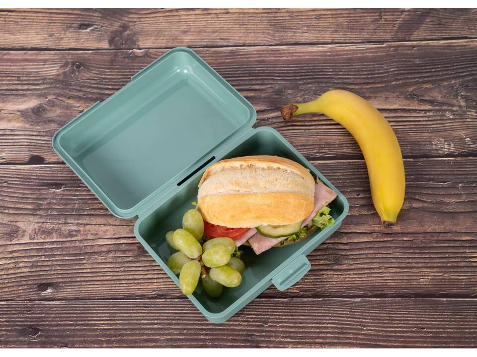 Lunchbox Schoolbox 9
