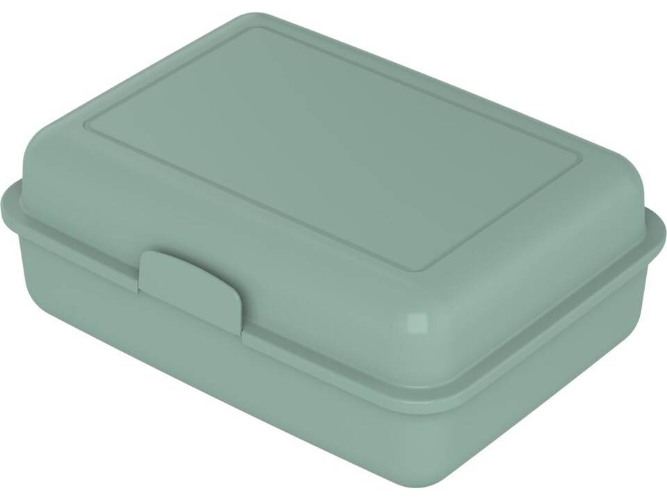 Lunchbox Schoolbox 10