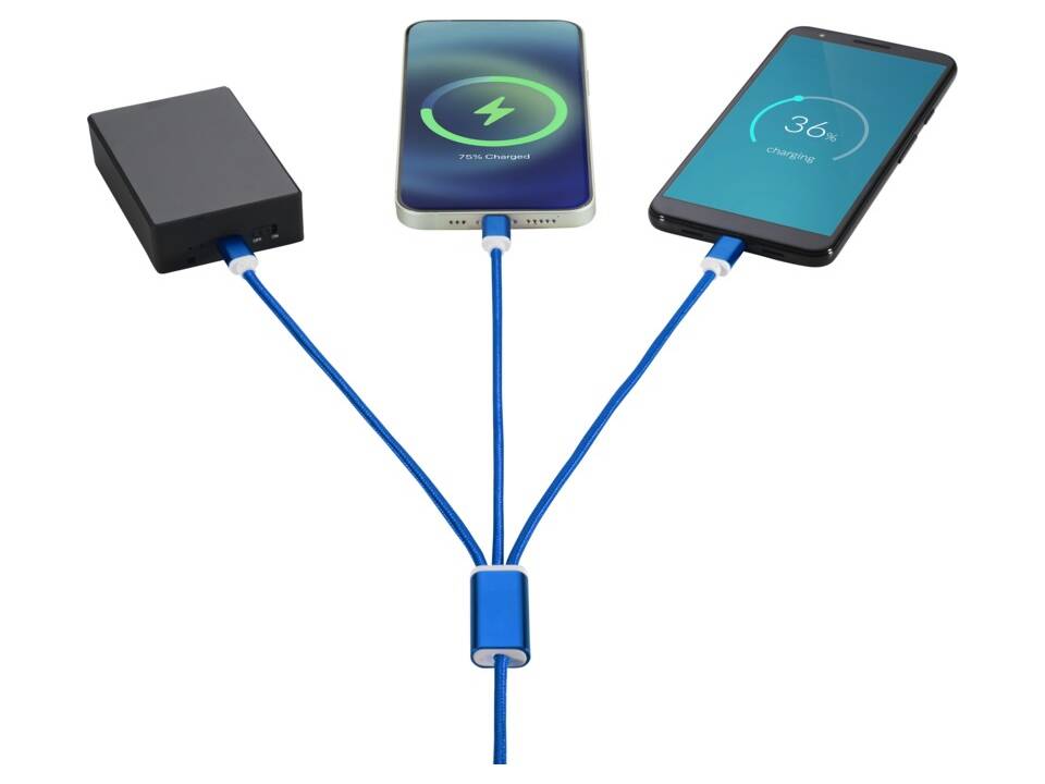 Versatile 3-in-1 charging cable with dual input