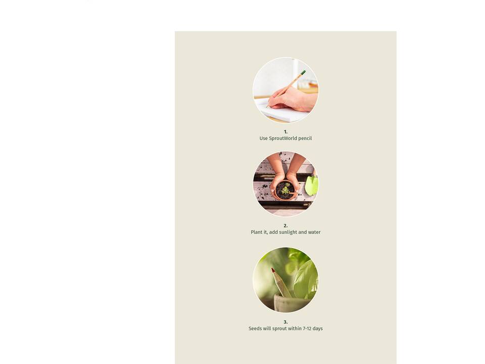 Sproutworld Pencil – Let your ideas grow into something beautiful 4