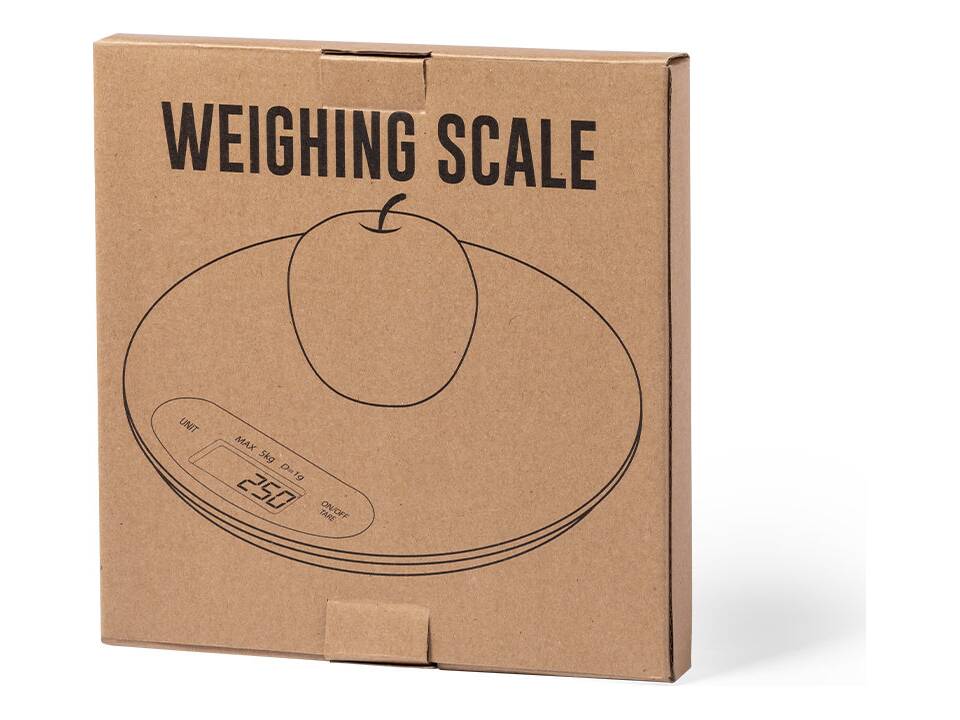 Weighing Scales Hinfex 3