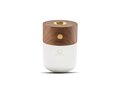 Gingko Smart diffuser 11