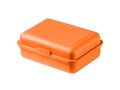 Lunchbox Schoolbox 20