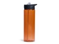 Lord Nelson Water Bottle With Straw 700ml 5