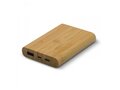 Powerbank bamboo 5.000mAh