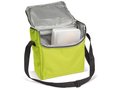 Coolbag Ice 6