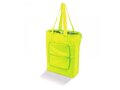 Coolbag Foldable 12
