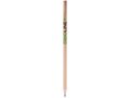 Wooden Pencil 1