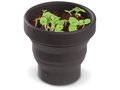 Foldable Flowerpot - Basil
