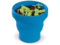 Foldable Flowerpot - Basil 6