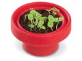 Foldable Flowerpot - Basil 2