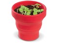 Foldable Flowerpot - Basil 1