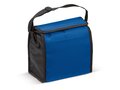 Cooler bag small