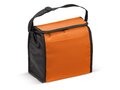 Cooler bag small 2