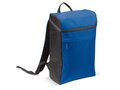 Cooler backpack