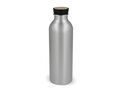 Water bottle Jekyll recycled aluminum 550ml 3