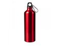 Water bottle aluminum with carabiner 750ml 5