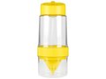 Lemon water bottle 2