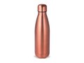 Thermo bottle Swing metallic edition - 500 ml 1