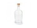 Water bottle 1L