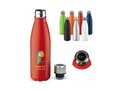 Thermo bottle Swing with temperature display 500ml