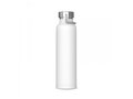 Thermo bottle Skyler 650ml 1
