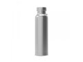 Thermo bottle Skyler 650ml 3