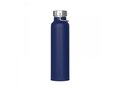 Thermo bottle Skyler 650ml 4