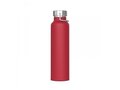 Thermo bottle Skyler 650ml 6