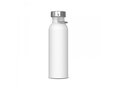 Water bottle Skyler 750ml 1
