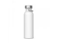 Water bottle Skyler 750ml