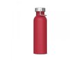 Water bottle Skyler 750ml 6