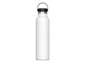 Thermo bottle Marley 650ml 1