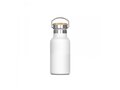 Thermo bottle Ashton 350ml 1