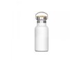 Thermo bottle Ashton 350ml 1