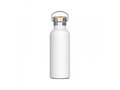 Thermo bottle Ashton 500ml