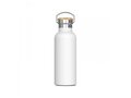 Thermo bottle Ashton 500ml 1