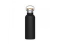 Thermo bottle Ashton 500ml 2