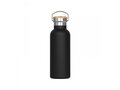 Thermo bottle Ashton 500ml 2