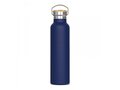 Thermo bottle Ashton 650ml 4