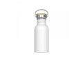 Water bottle Ashton 500ml 1