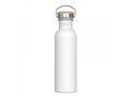 Water bottle Ashton 750ml 1